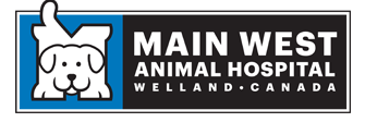 Link to Homepage of Main West Animal Hospital