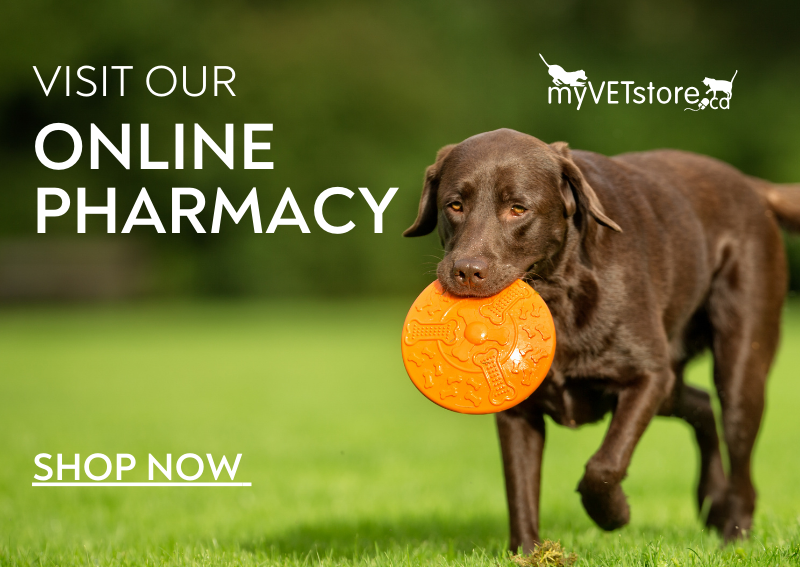 Carousel Slide 1: Shop Our Online Pharmacy!